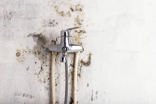 Best Commercial Mold Removal  in Claremore, OK