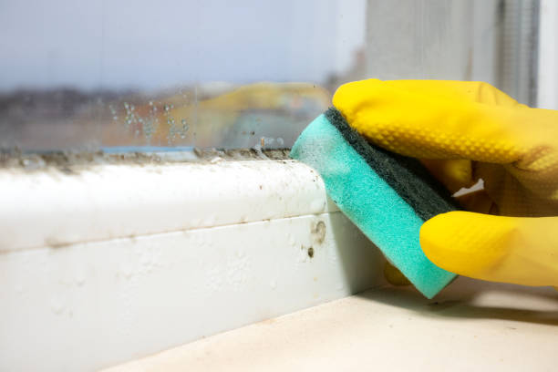 Best Commercial Mold Removal  in Claremore, OK