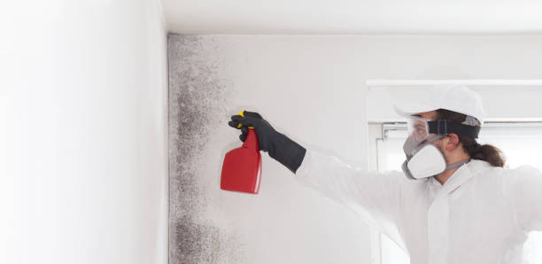 Best Mold Remediation  in Claremore, OK