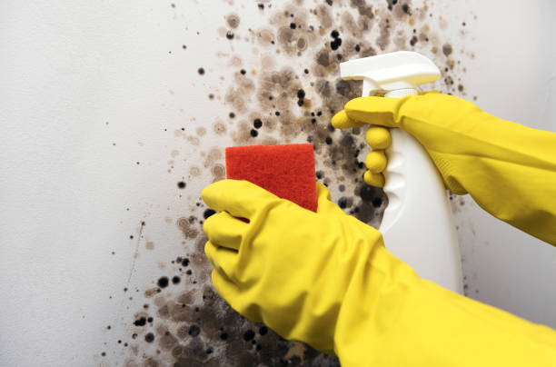 Best Mold Testing  in Claremore, OK