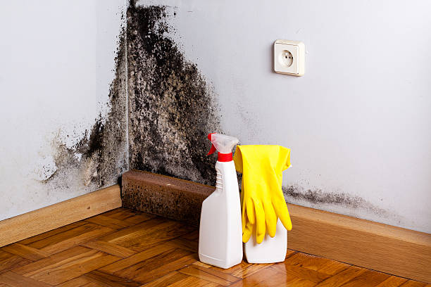 Best Mold Removal and Inspection  in Claremore, OK