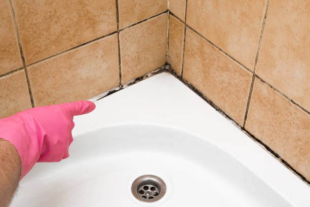 Best Home Mold Removal  in Claremore, OK